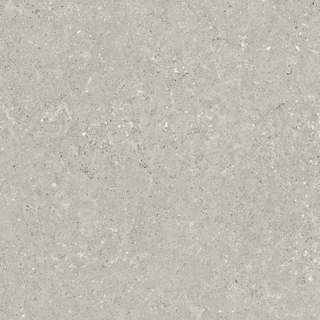 Delconca Wild Grey Nat 60x60 cm Rekt./G9WD05R