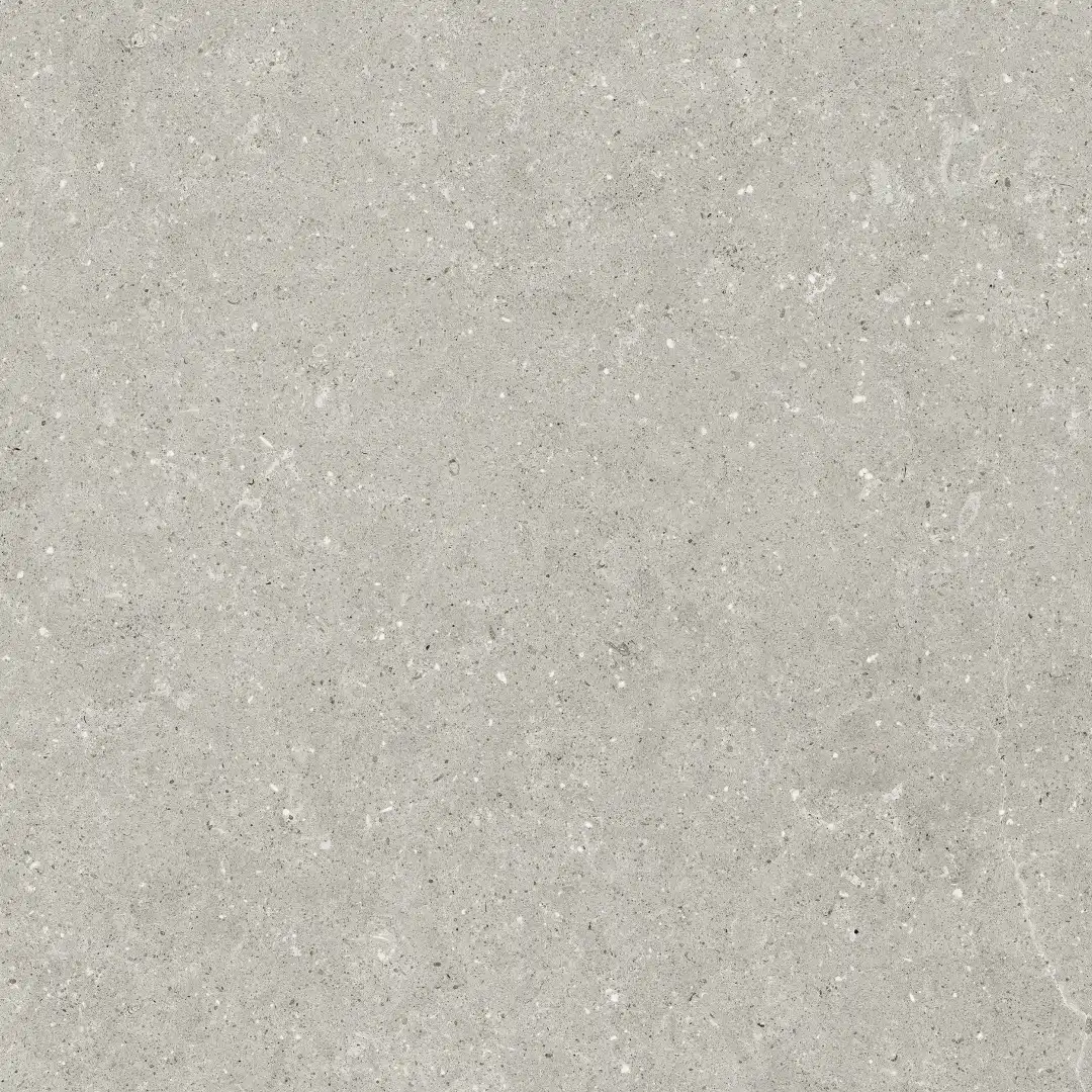 Delconca Wild Grey Nat 80x80 cm Rekt./GTWD05R 