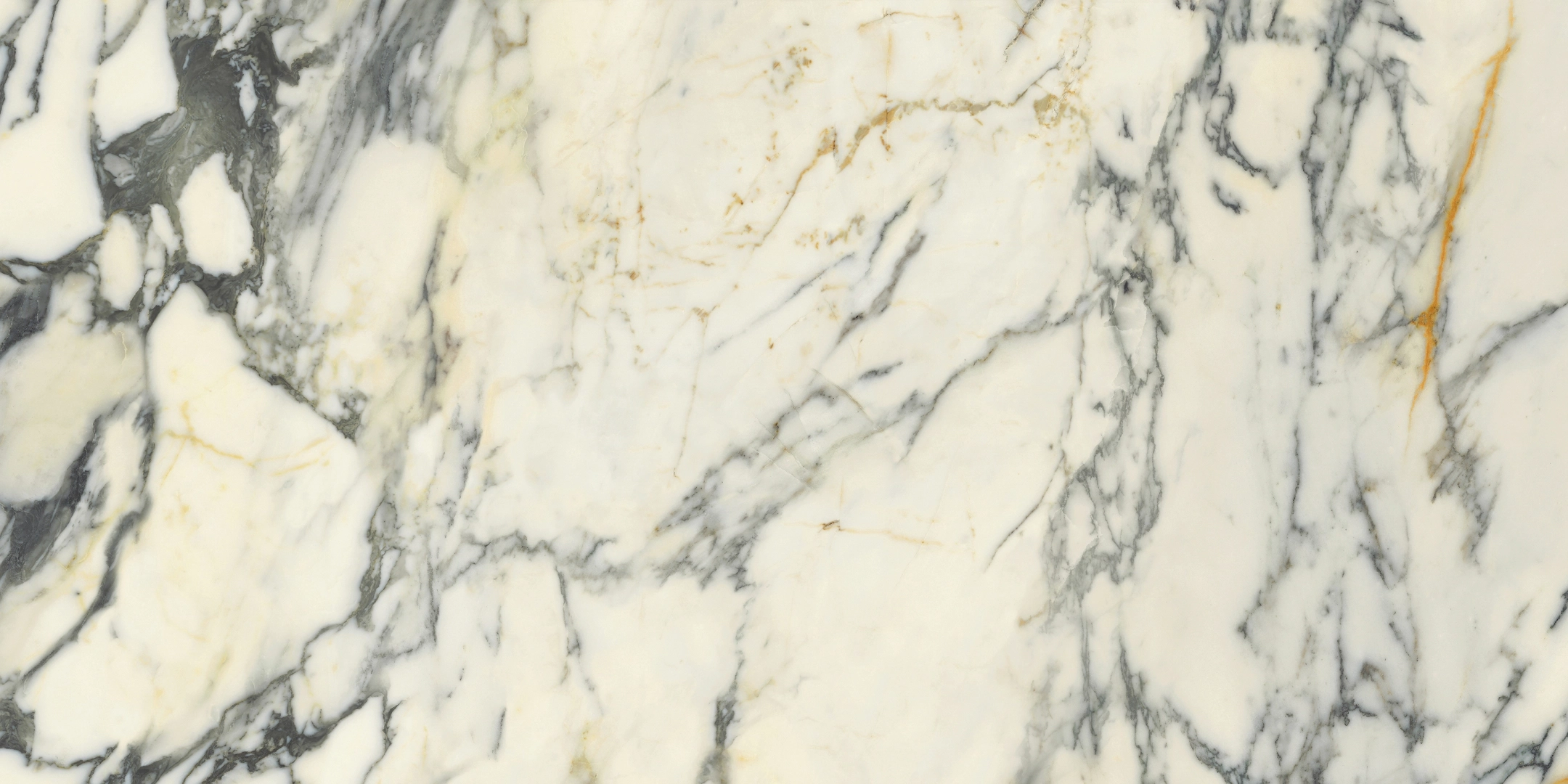 Delconca Premiere Paonazzo Shine 60x120 cm Rekt./GCPM10S 