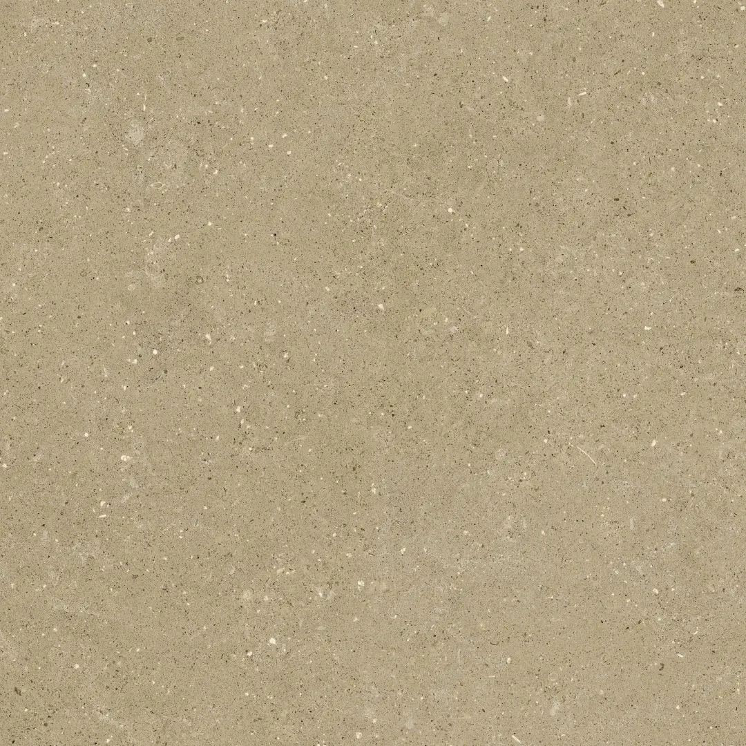Delconca Wild Beige Nat 80x80 cm Rekt./GTWD01R 