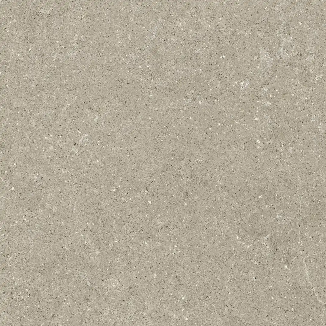 Delconca Wild Greige Nat 80x80 cm Rekt./GTWD11R 