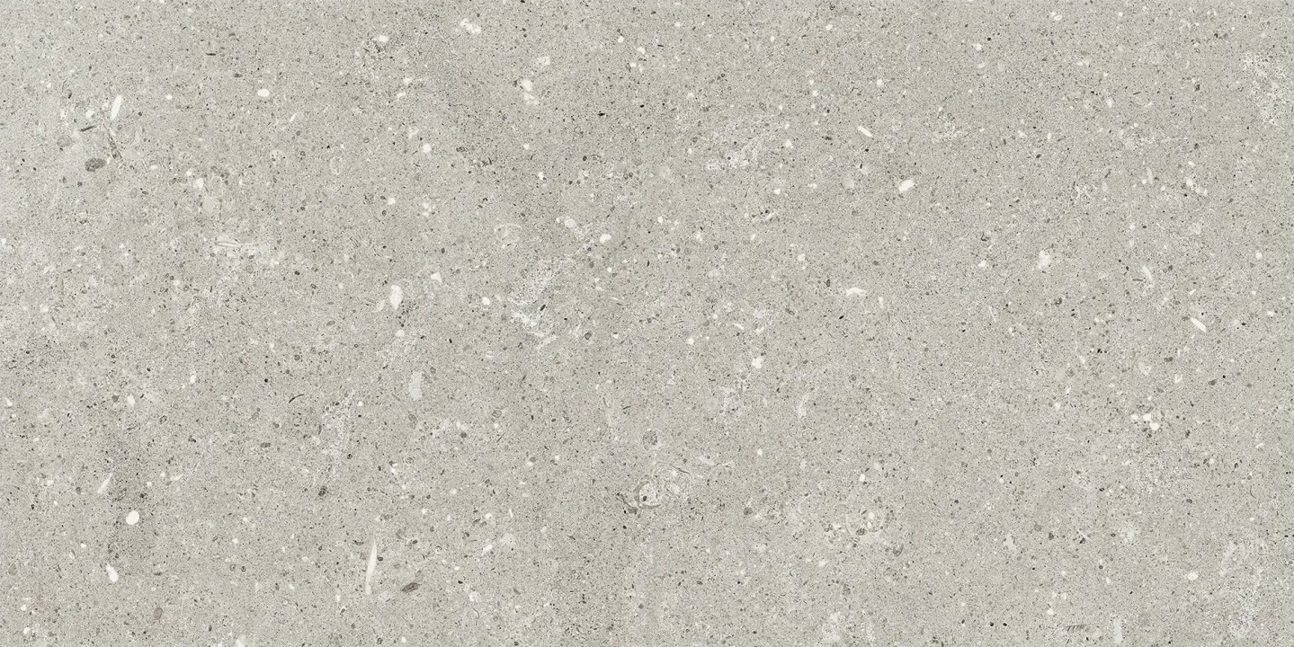 Delconca Wild Grey Nat 30x60 cm Rekt./G8WD05R 