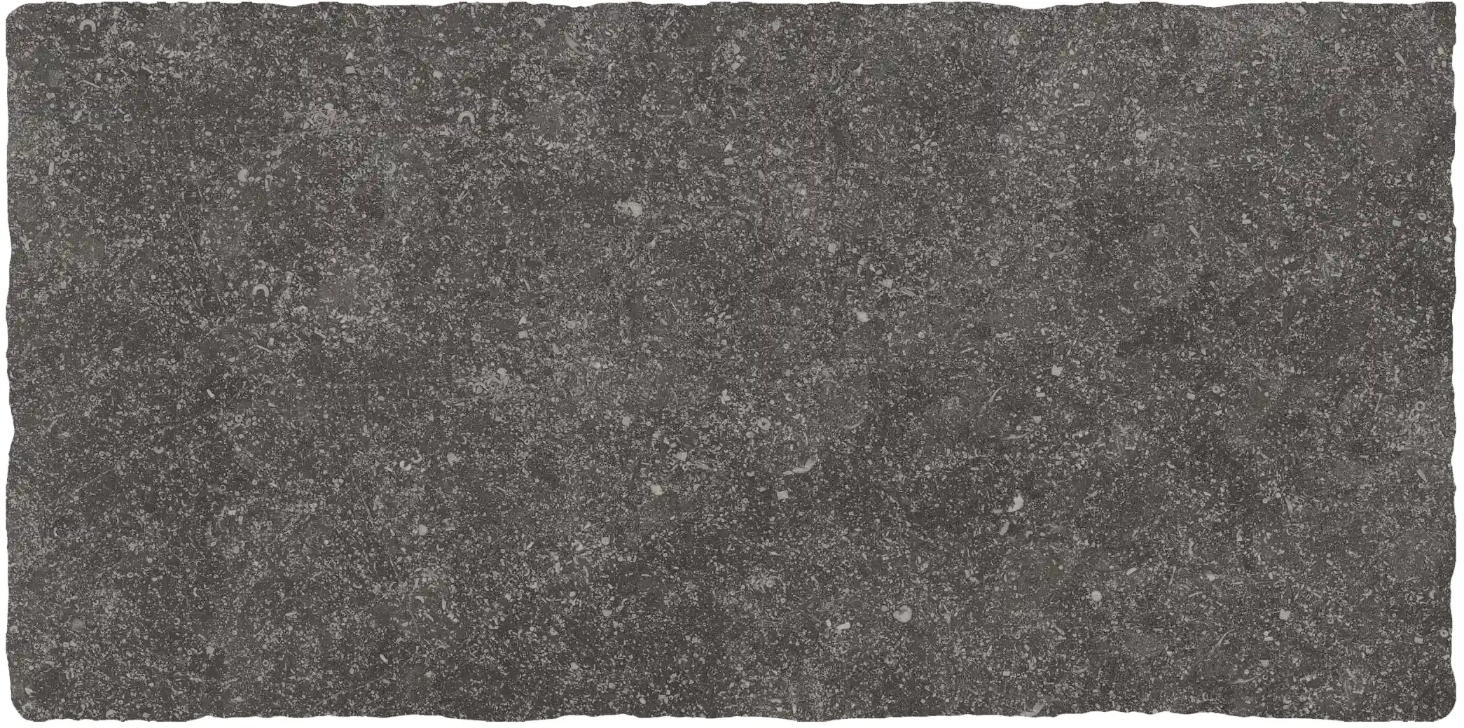 Delconca Forum Nero Nat 40x80 cm 20mm /SOFR08 