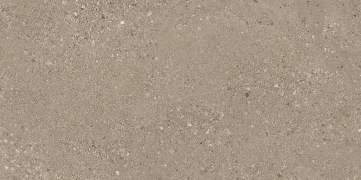 GRAINSTONE Taupe Rough Grein Tecnica 60x120cm 9.50mm Rekt. /E0DR