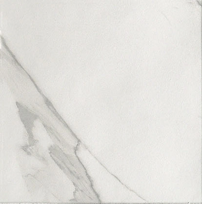 Fap Roma Statuario 20x20 / fLX4