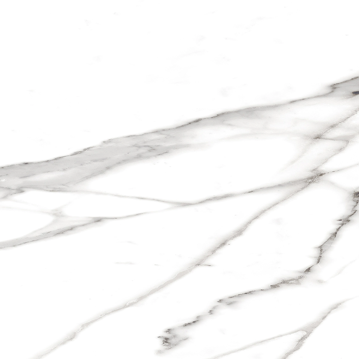 Fap Roma Statuario 60x60 matt / fLRE
