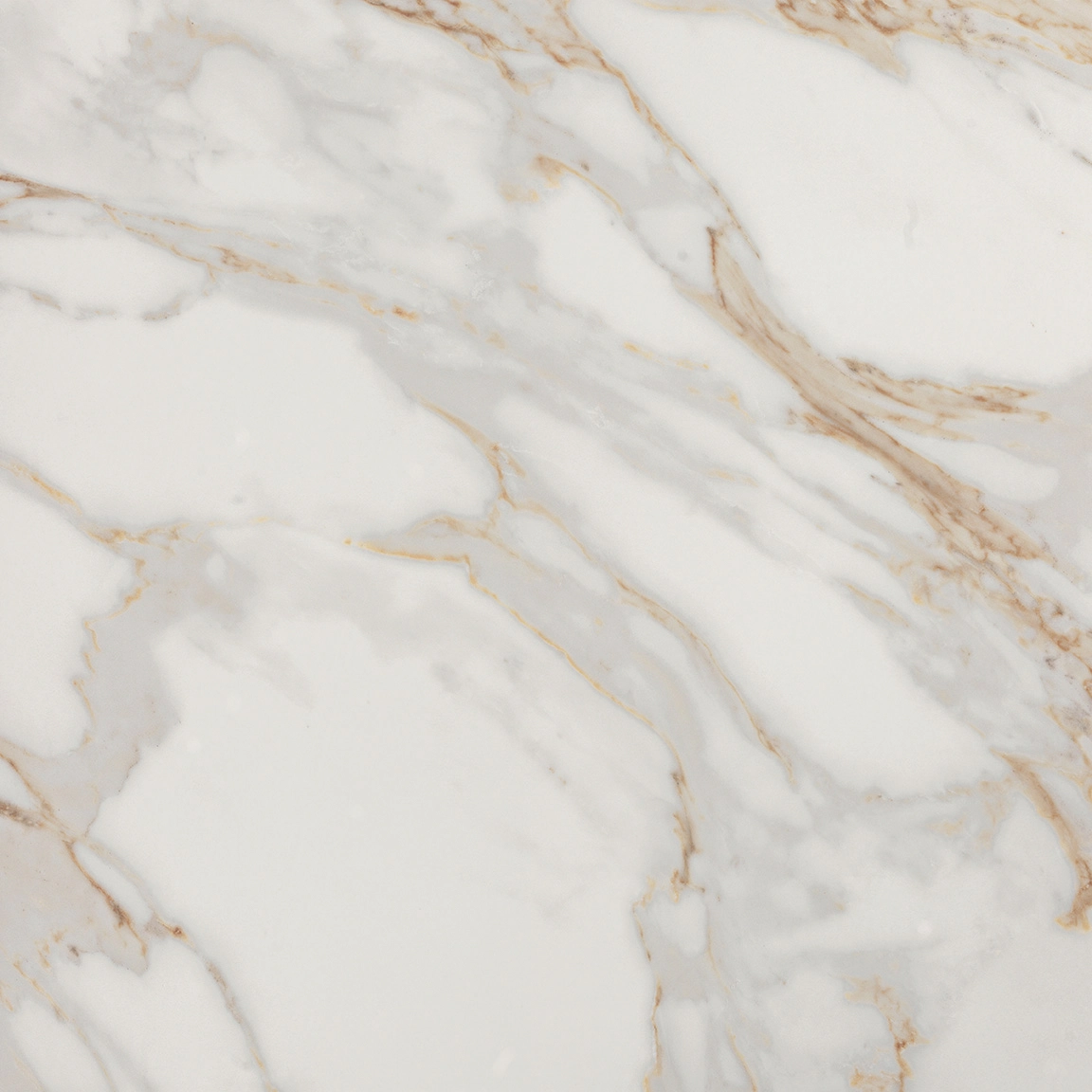 Fap Roma Gold Calacatta Oro 80x80 brillante / fPZB