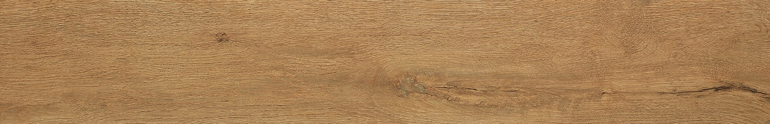 Fap Roots Gold 20x120 matt / fPVY