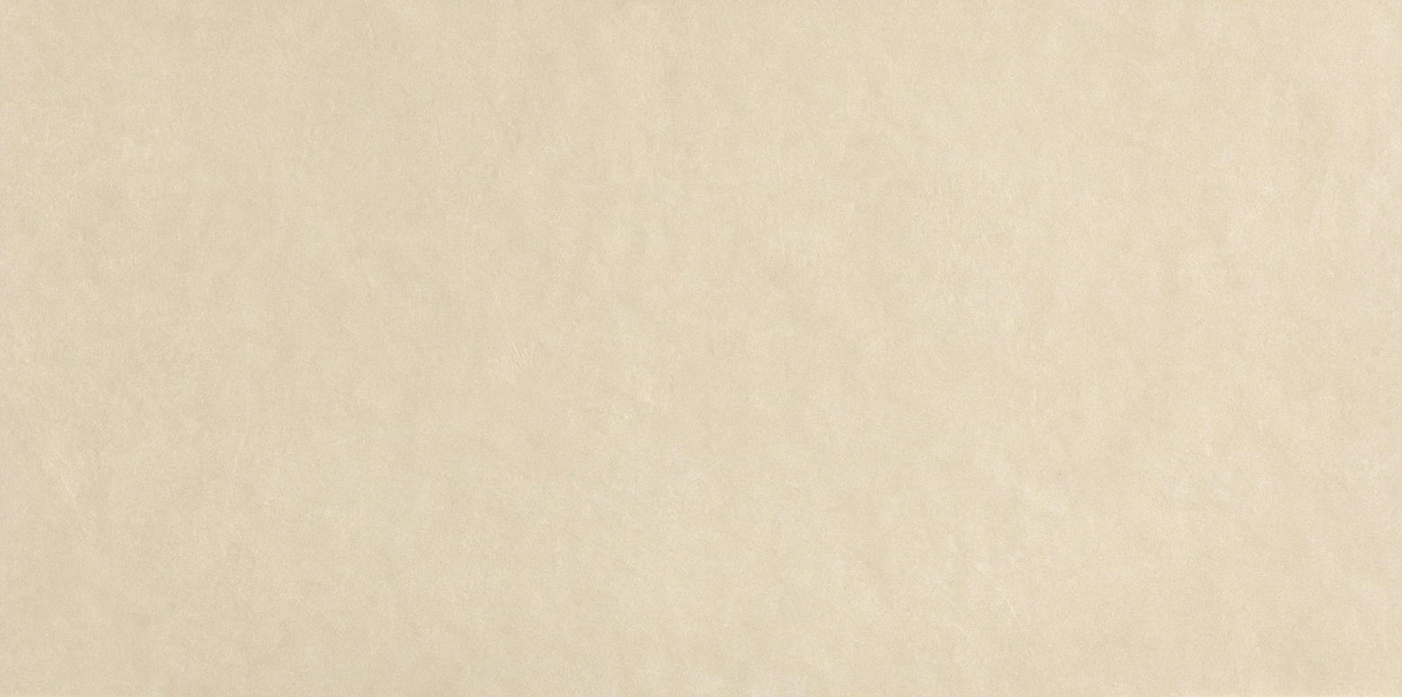 Fap Sheer Beige 80x160 / fPA5