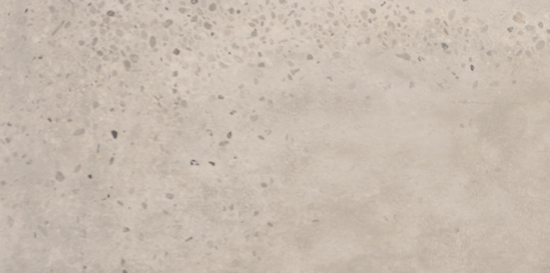 Fioranese Concrete Ivory 60.4x120.8 cm naturale rekt./CN621R