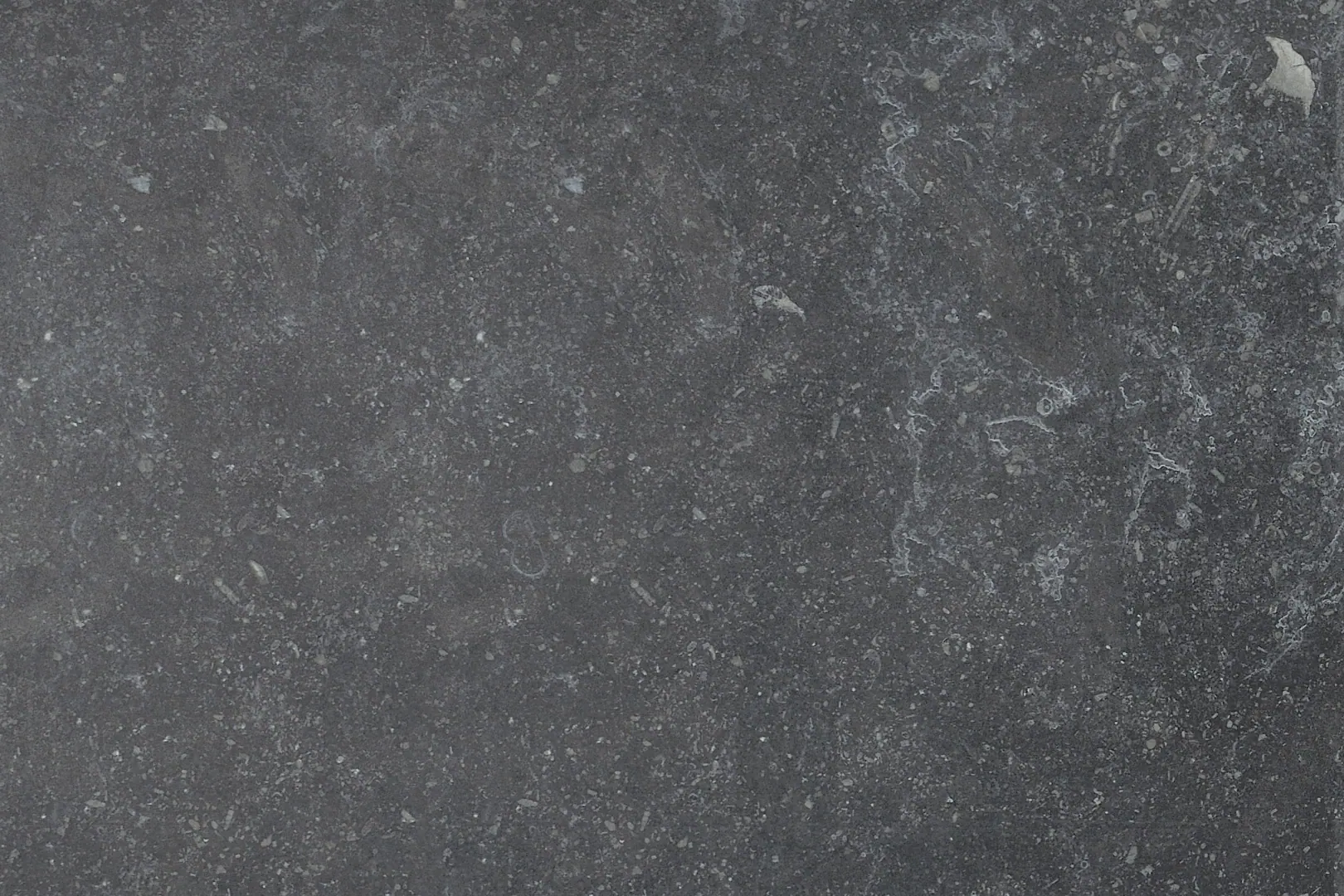 Fioranese Manoir NoirHainaut 60.4x90.6 cm naturale rekt./MO697R