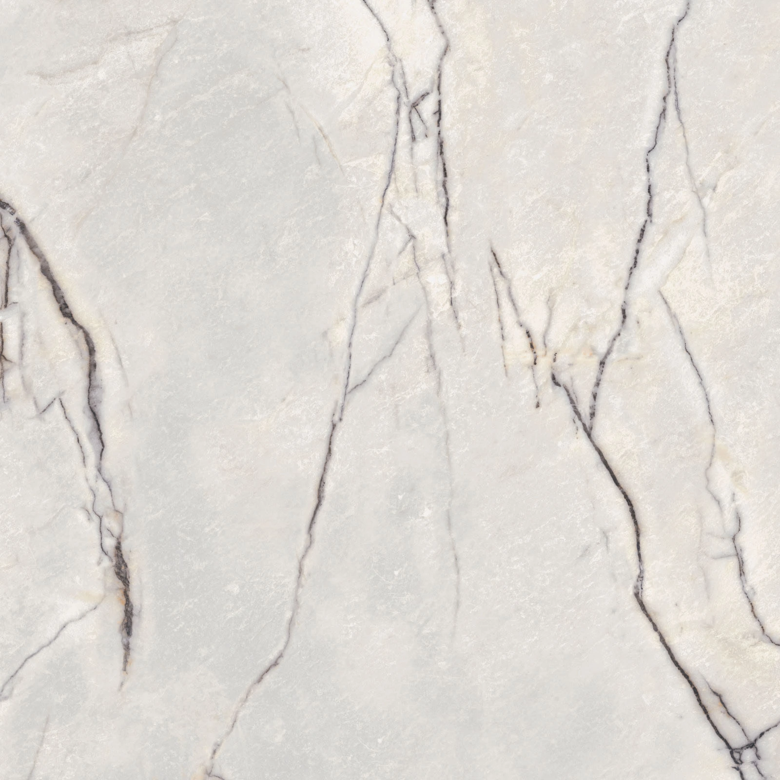 Flaviker Supreme Treasure Greylac Platinium Nat. Ret.120X120 cm