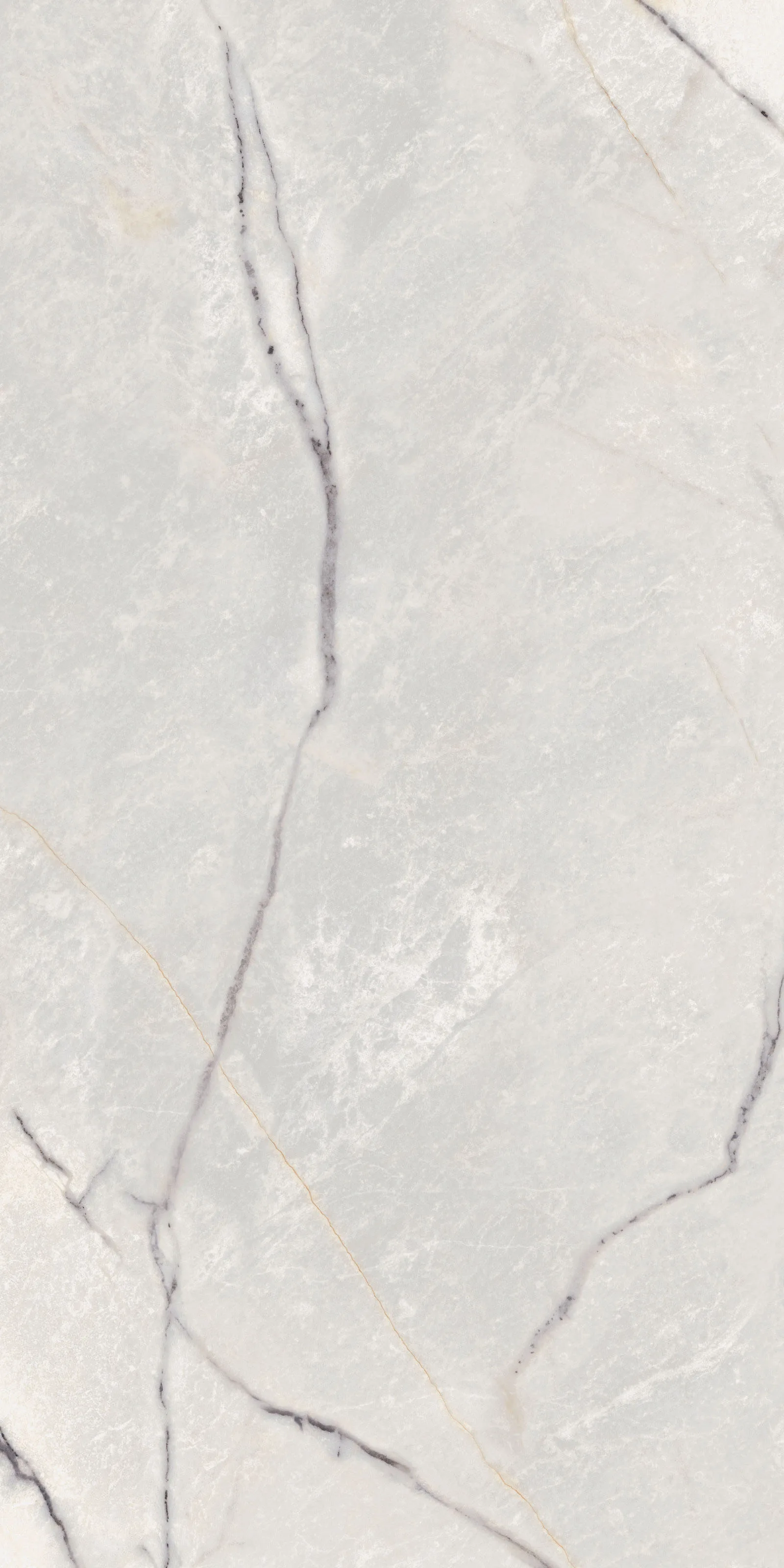 Flaviker Supreme Treasure Greylac Platinium  Nat. Ret.60X120 cm