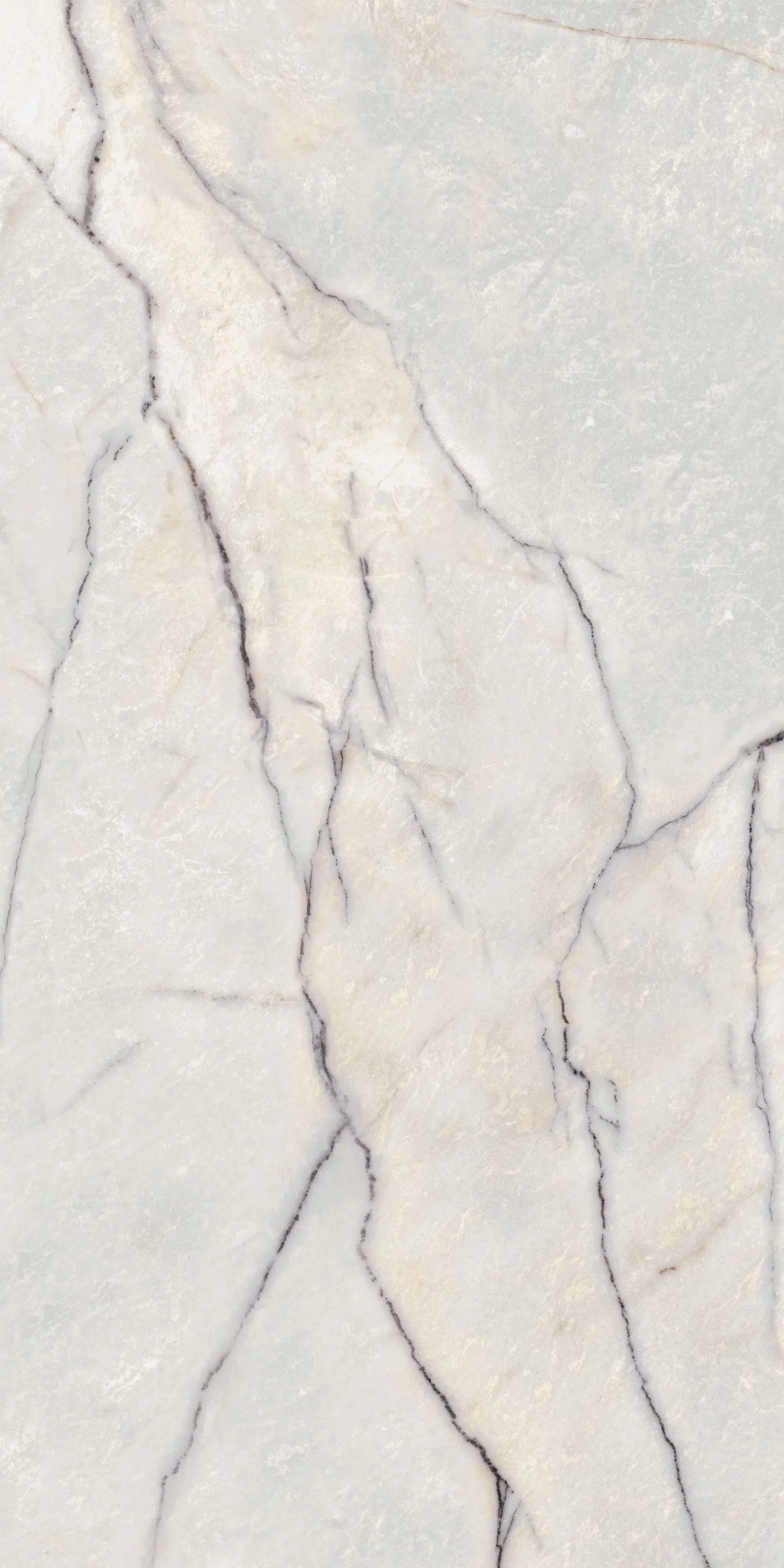 Flaviker Supreme Treasure Greylac Platinium Lux. Ret.60X120 cm