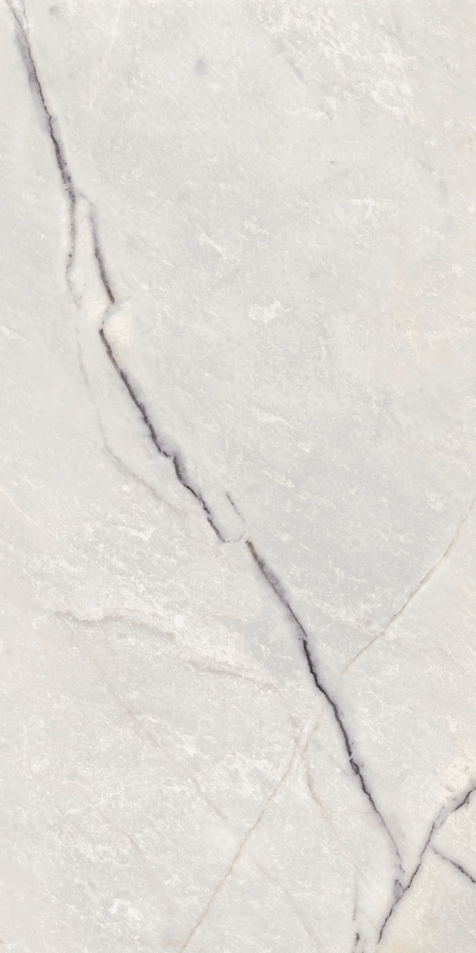Flaviker Supreme Treasure Greylac Platinium Lap. Ret.60X120 cm