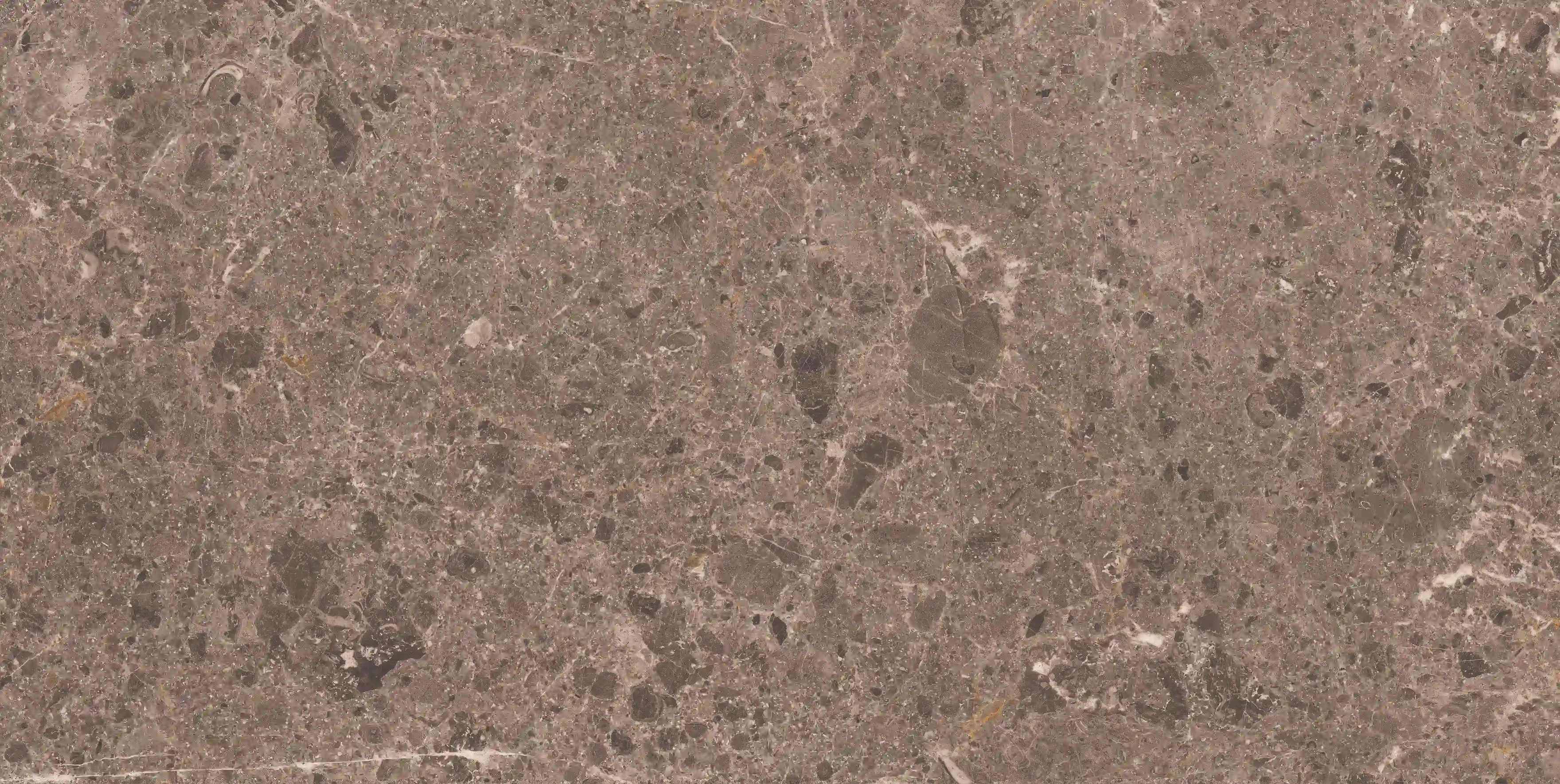 Grespania Artic Moka 60X120 cm / 44RC29N