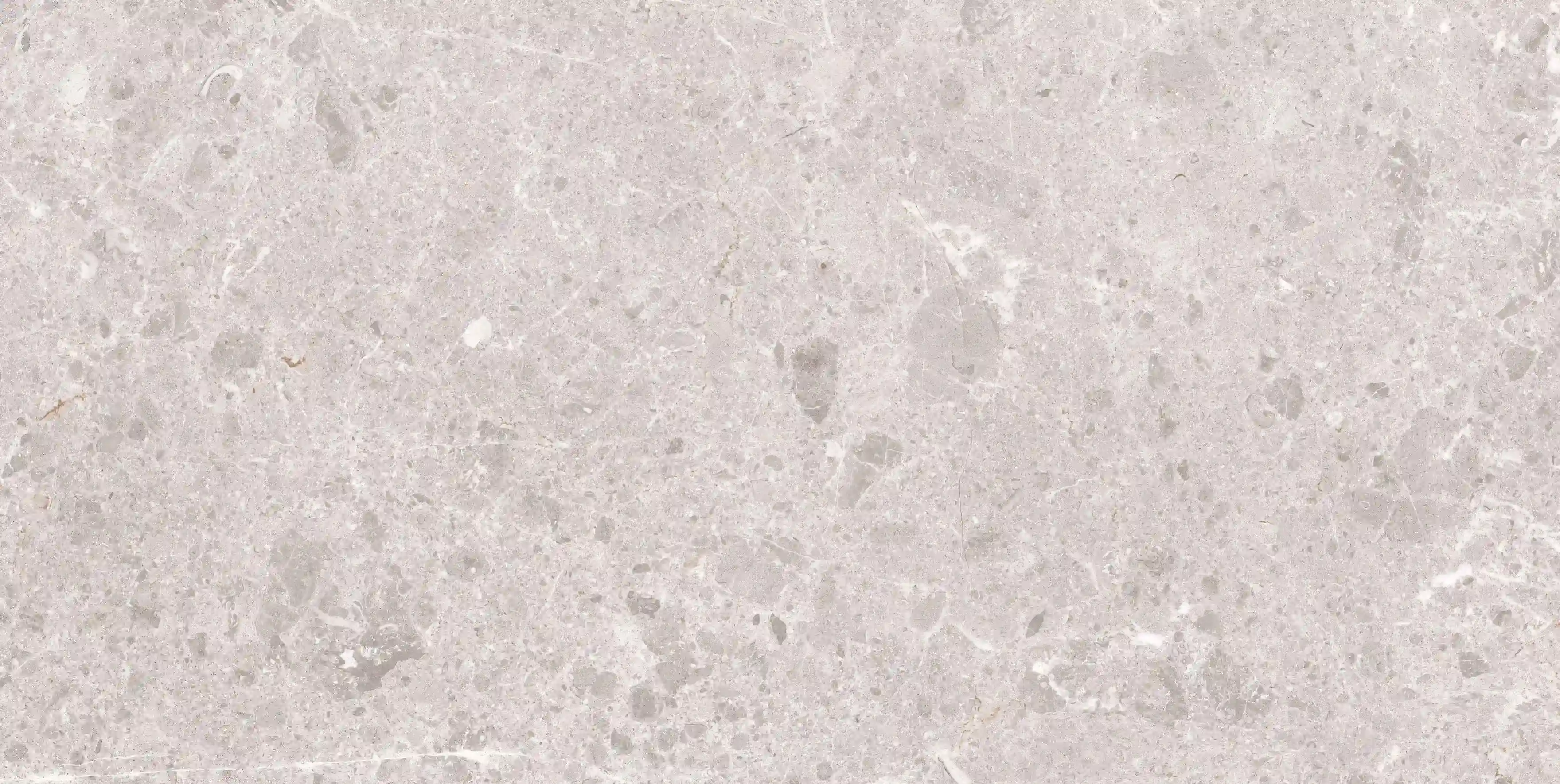 Grespania Artic Blanco 60X120 cm / 44RC49N