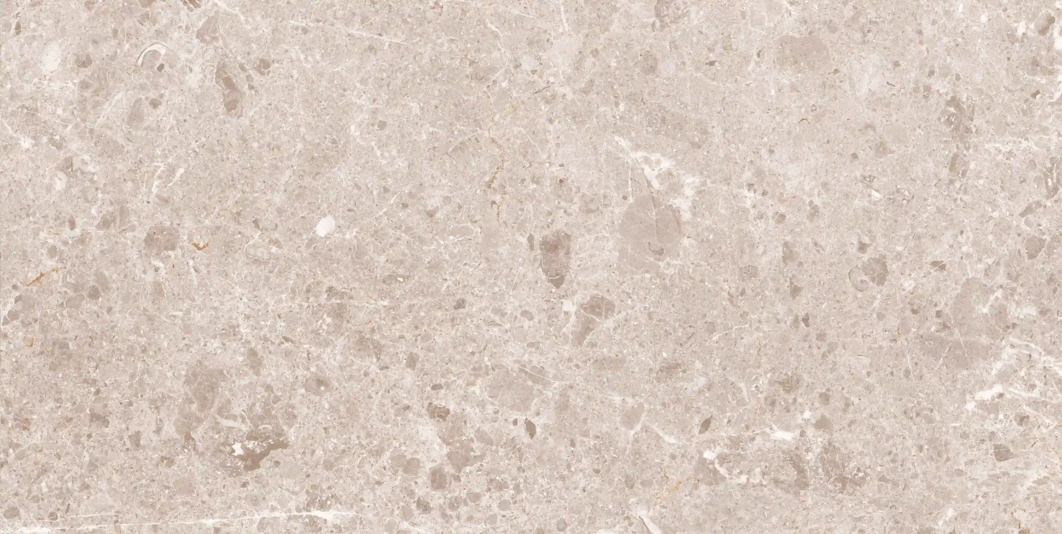 Grespania Artic Beige 60X120 cm / 44RC79N