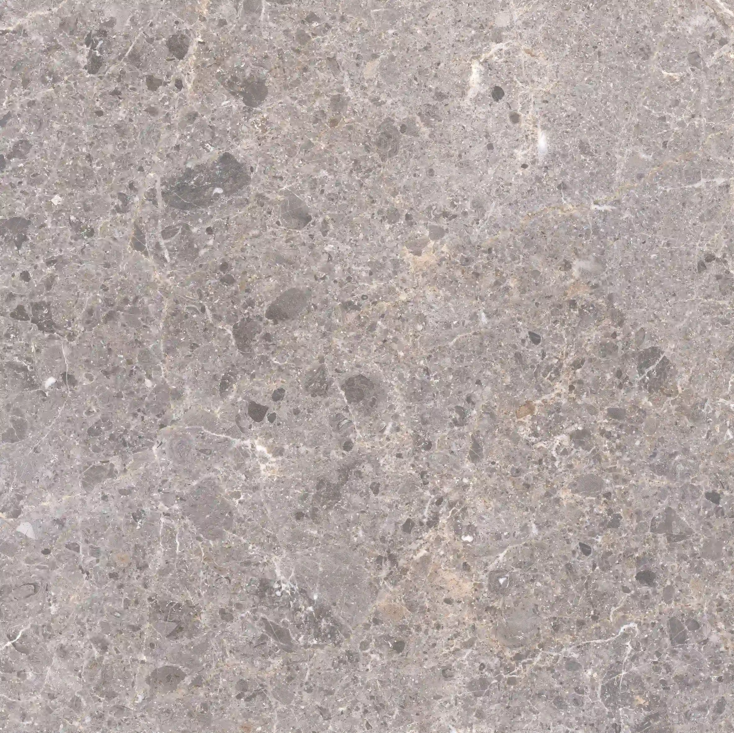 Grespania Artic Gris 80X80 cm / 81RC-36