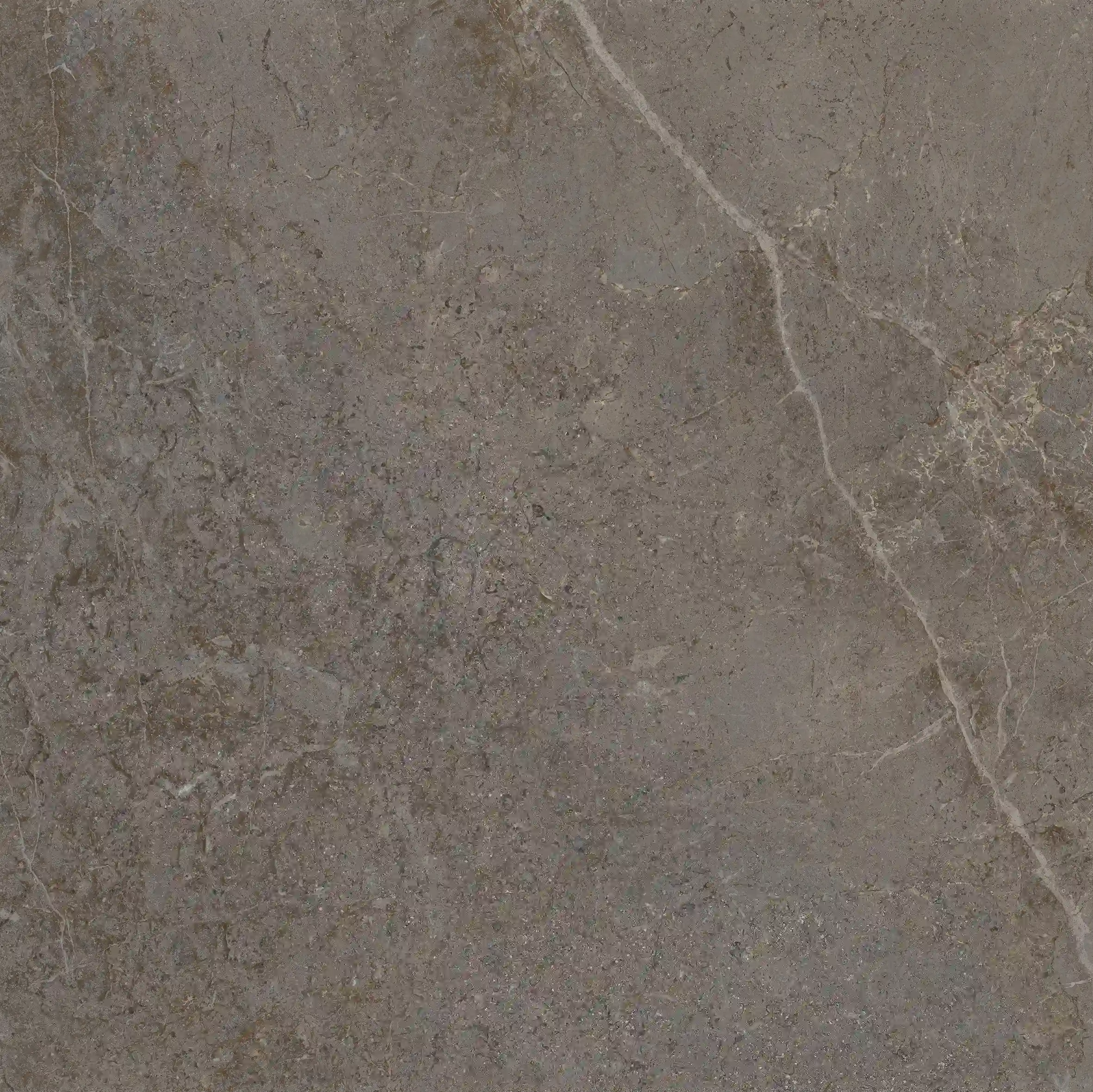Grespania Palermo Taupe 60X60 cm / 82P125R