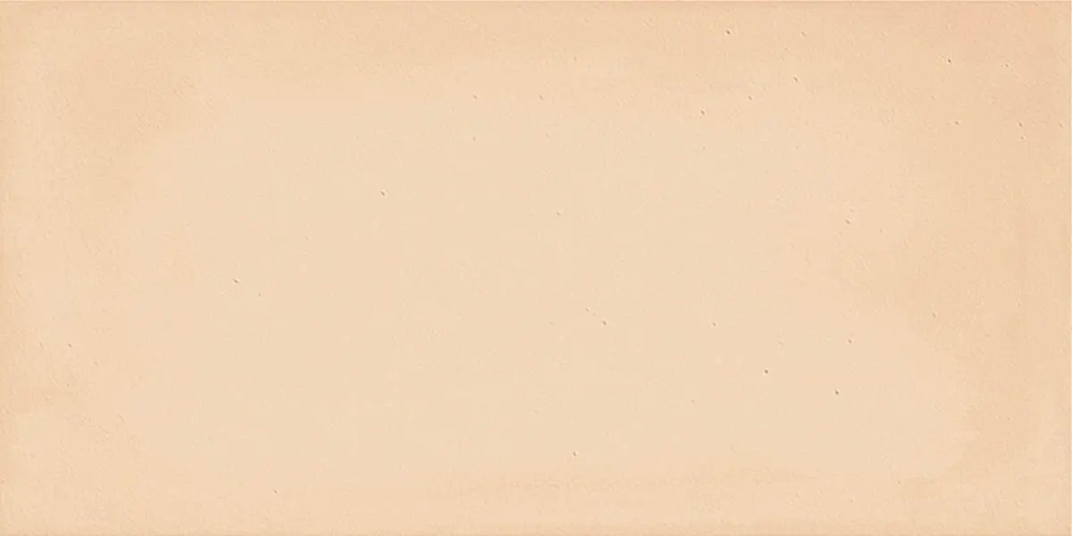 Imola Gesso GESSO 1020TC 10x20 cm