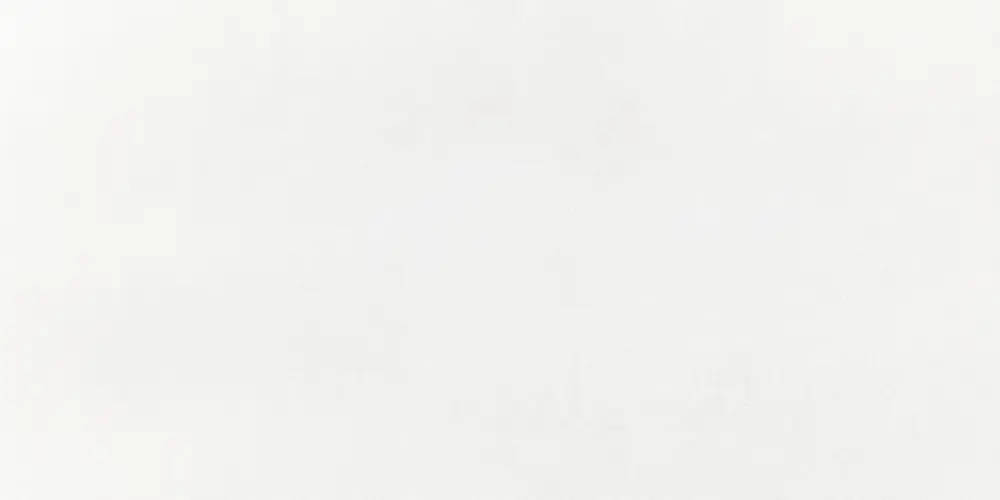 Imola Micron 2.0 M2.0 12WL 60x120 cm