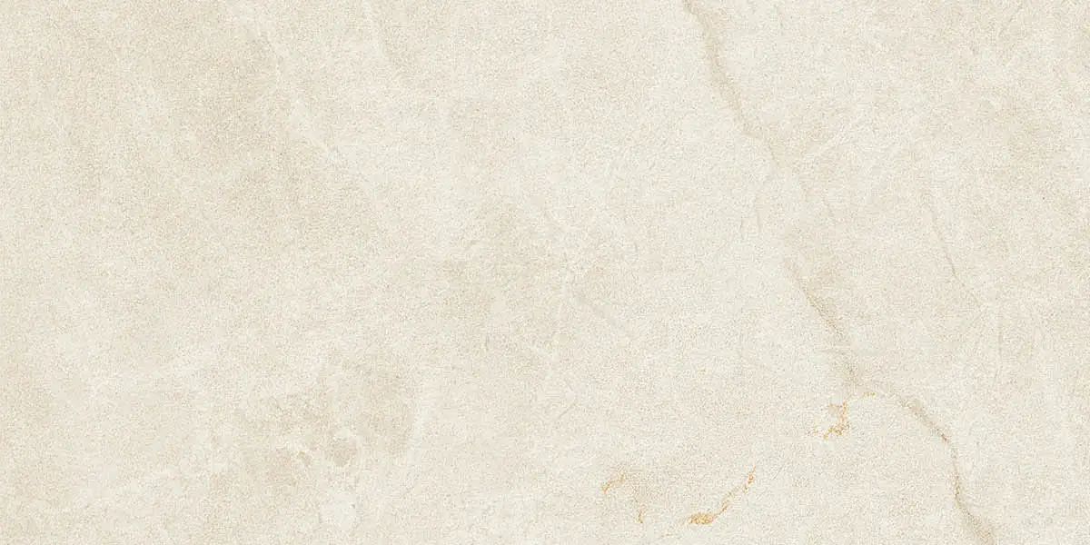 Imola Muse MUSE 12W 60x120 cm