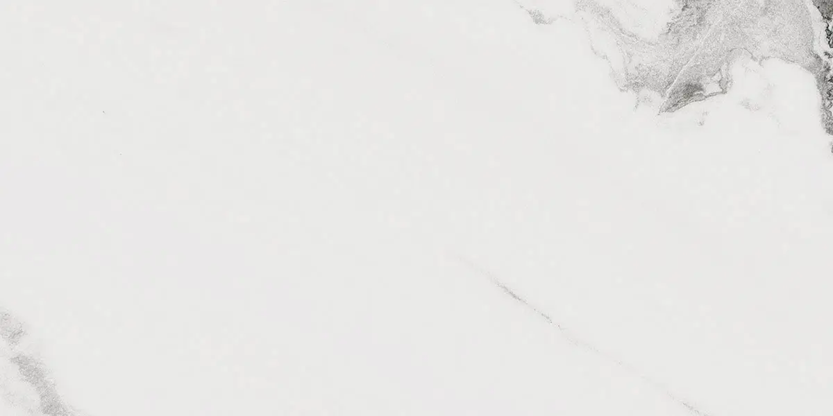 Imola The Room PAN WH6 12 RM 60x120 cm