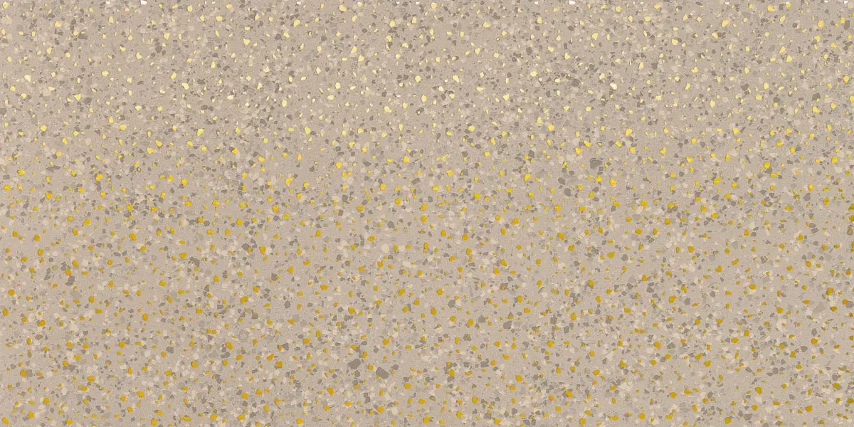 Imola Parade PRDE DK 12B LV 60x120 cm