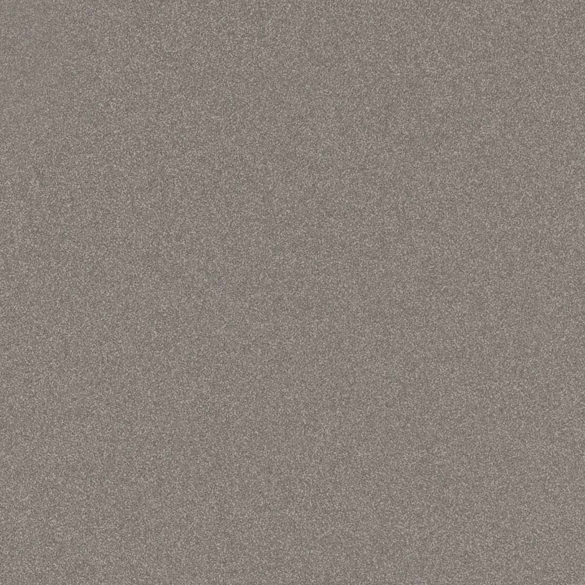 Imola Parade PRTU 60G RM 60x60 cm