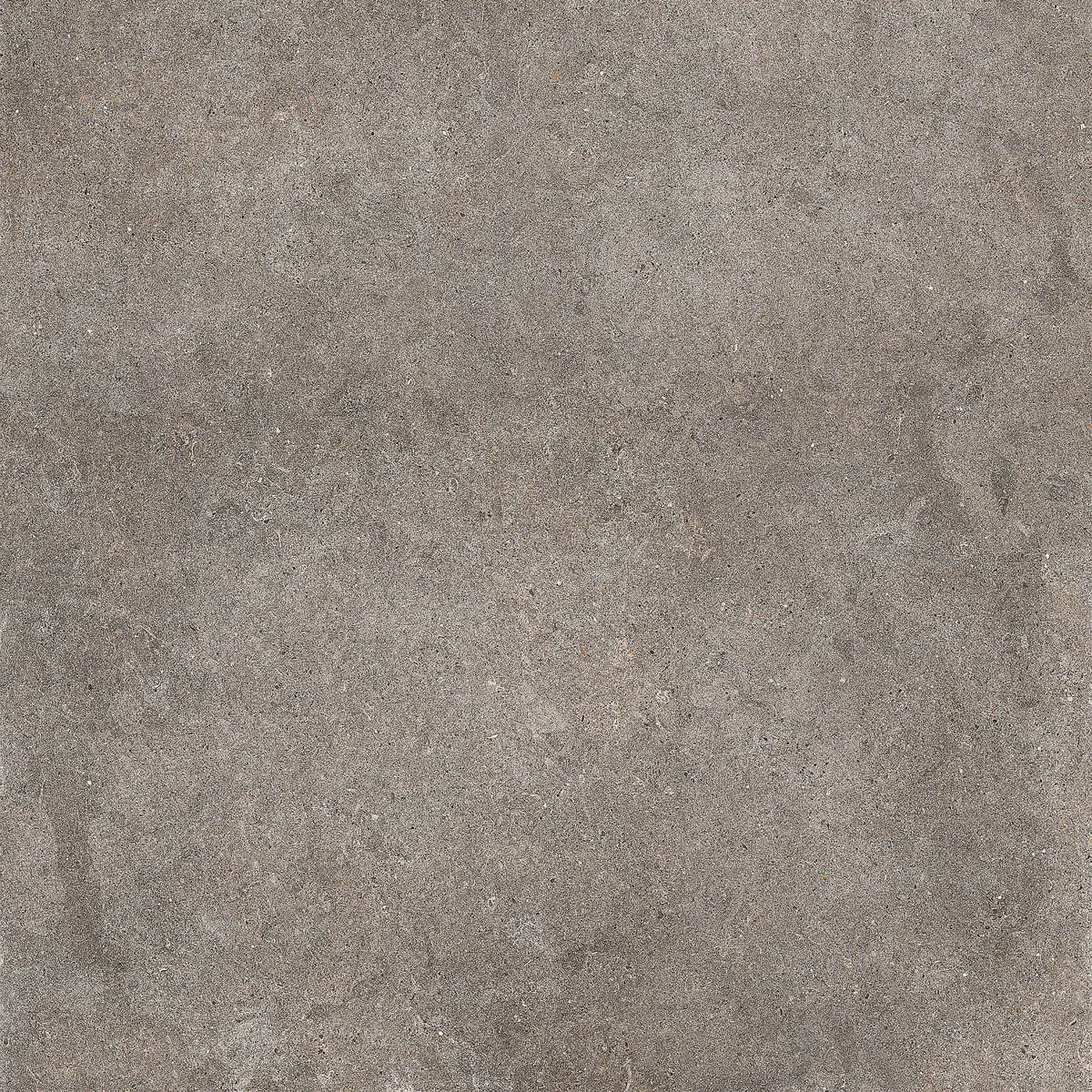 Imola Walk WALK 60DG 60x60 cm