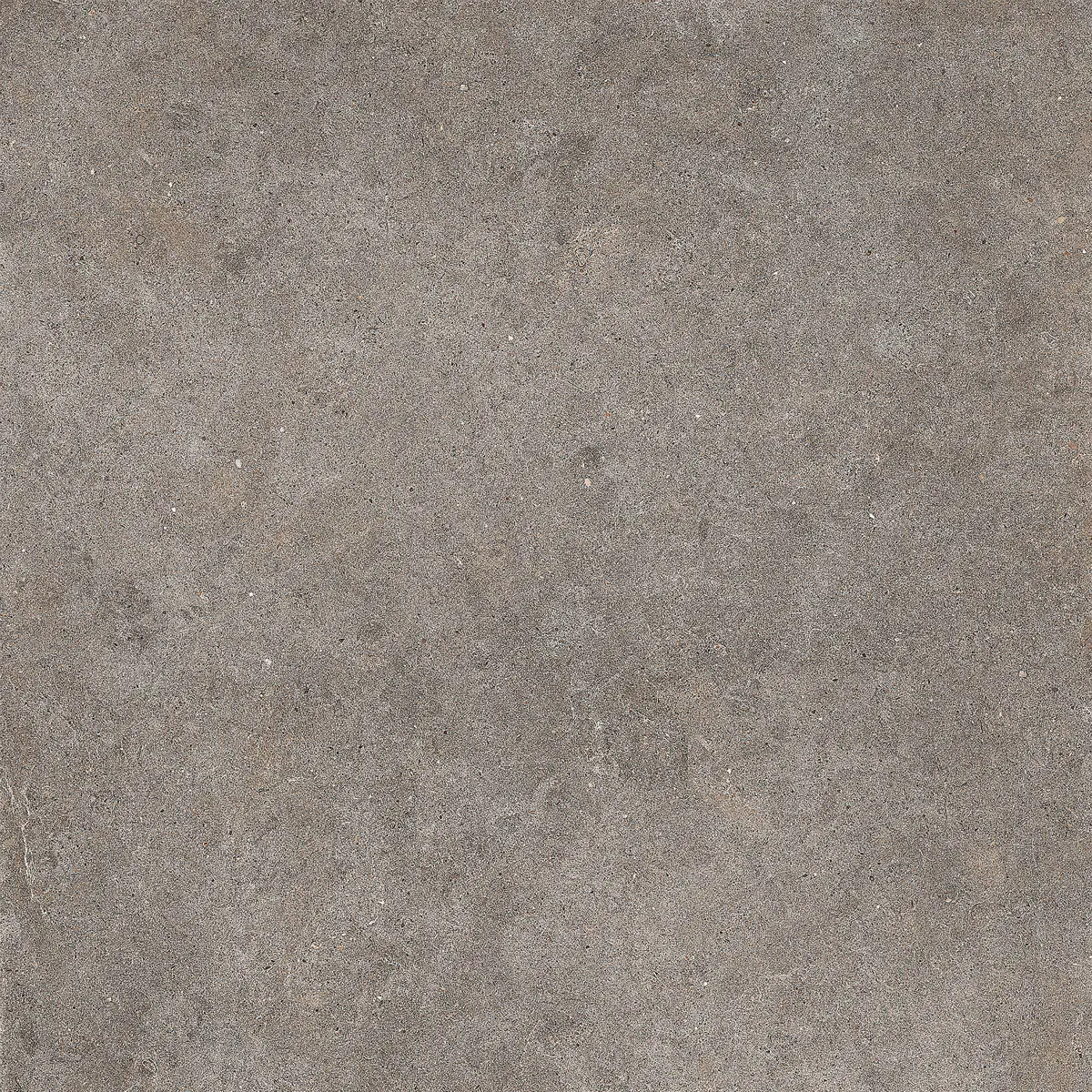 Imola Walk WLKR 36DG 30x60 cm