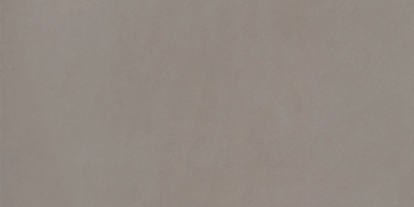 Keope Elements Design Taupe Natural 60x120  Rekt.