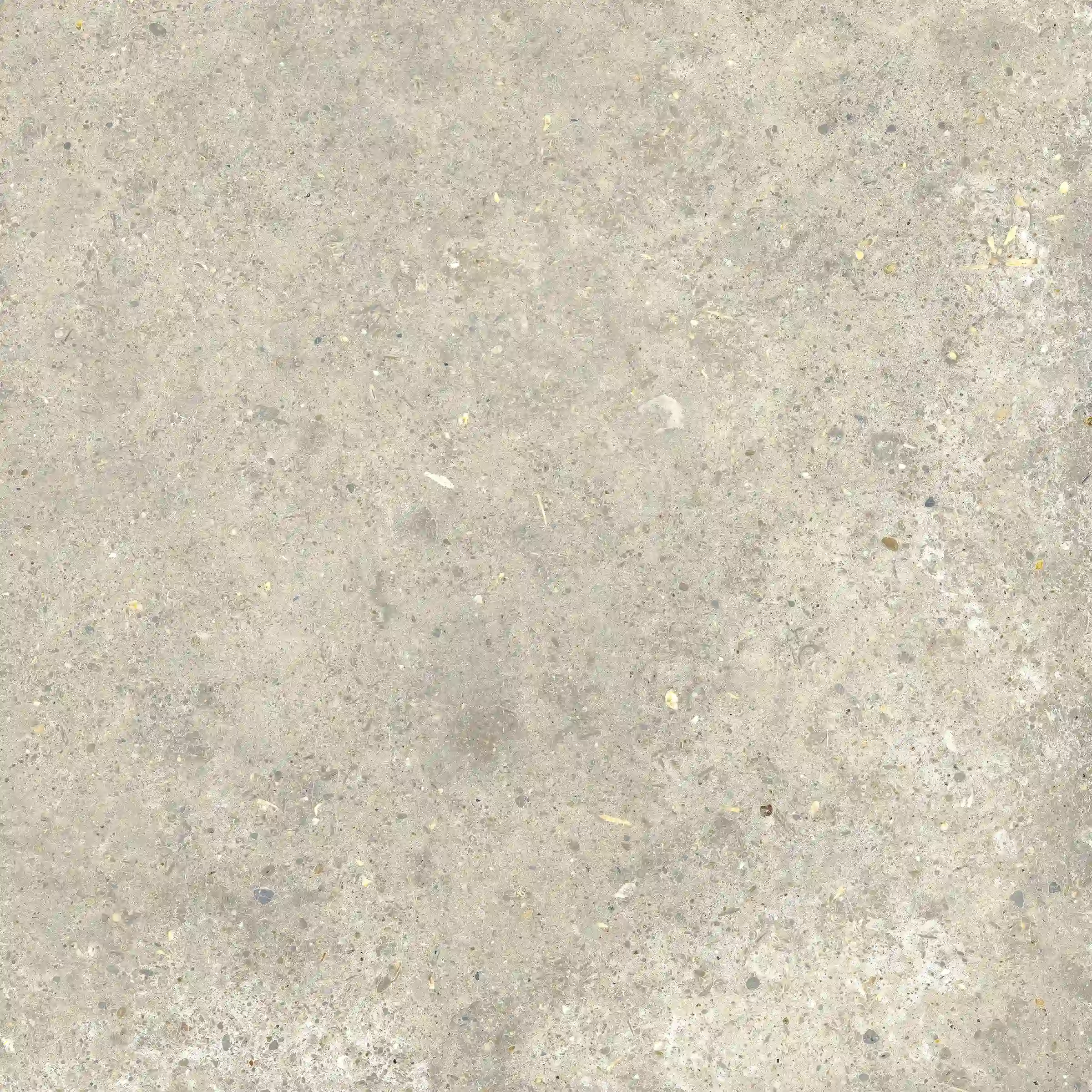 Agglomerate Shell 60x60 cm