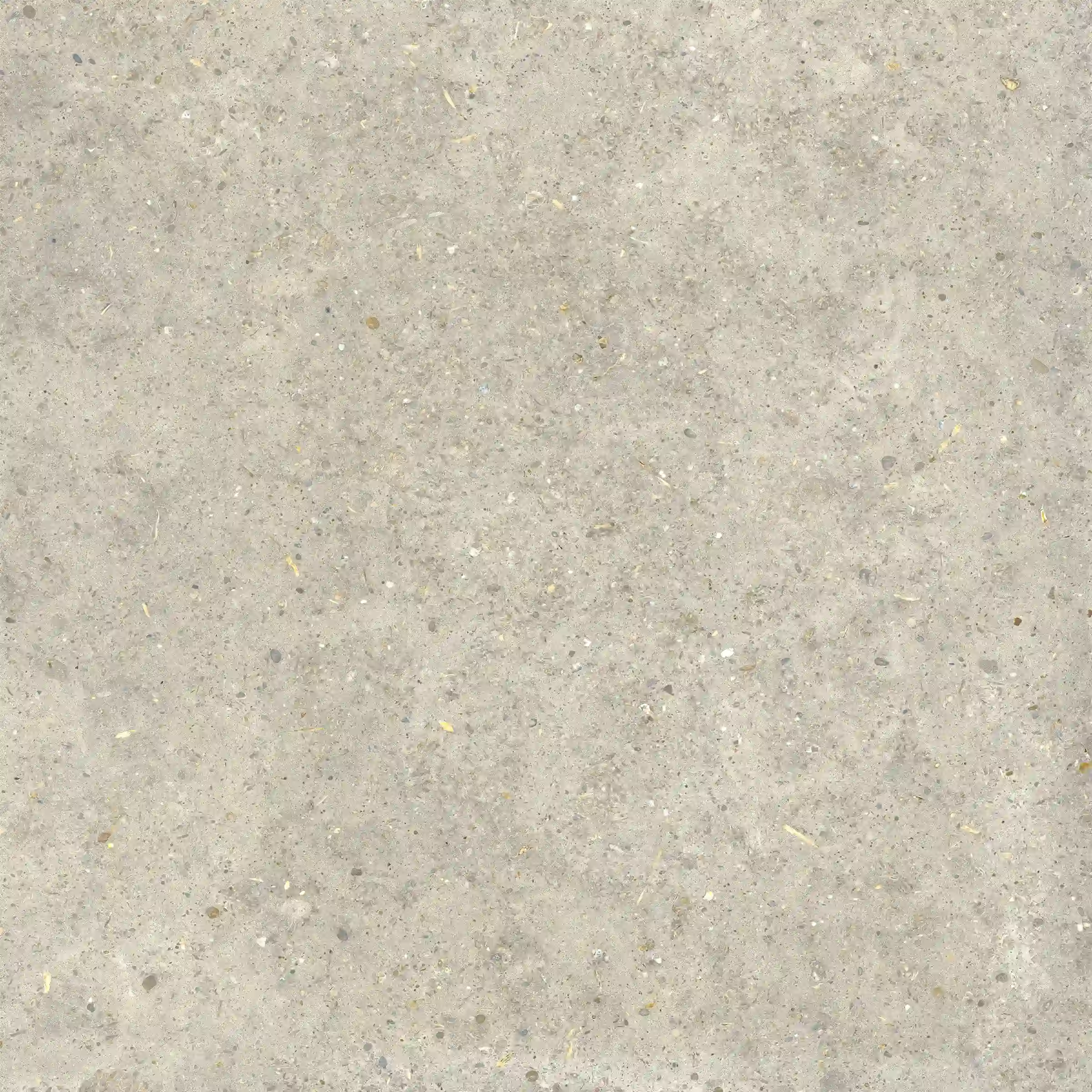 Agglomerate Shell 80x80 cm