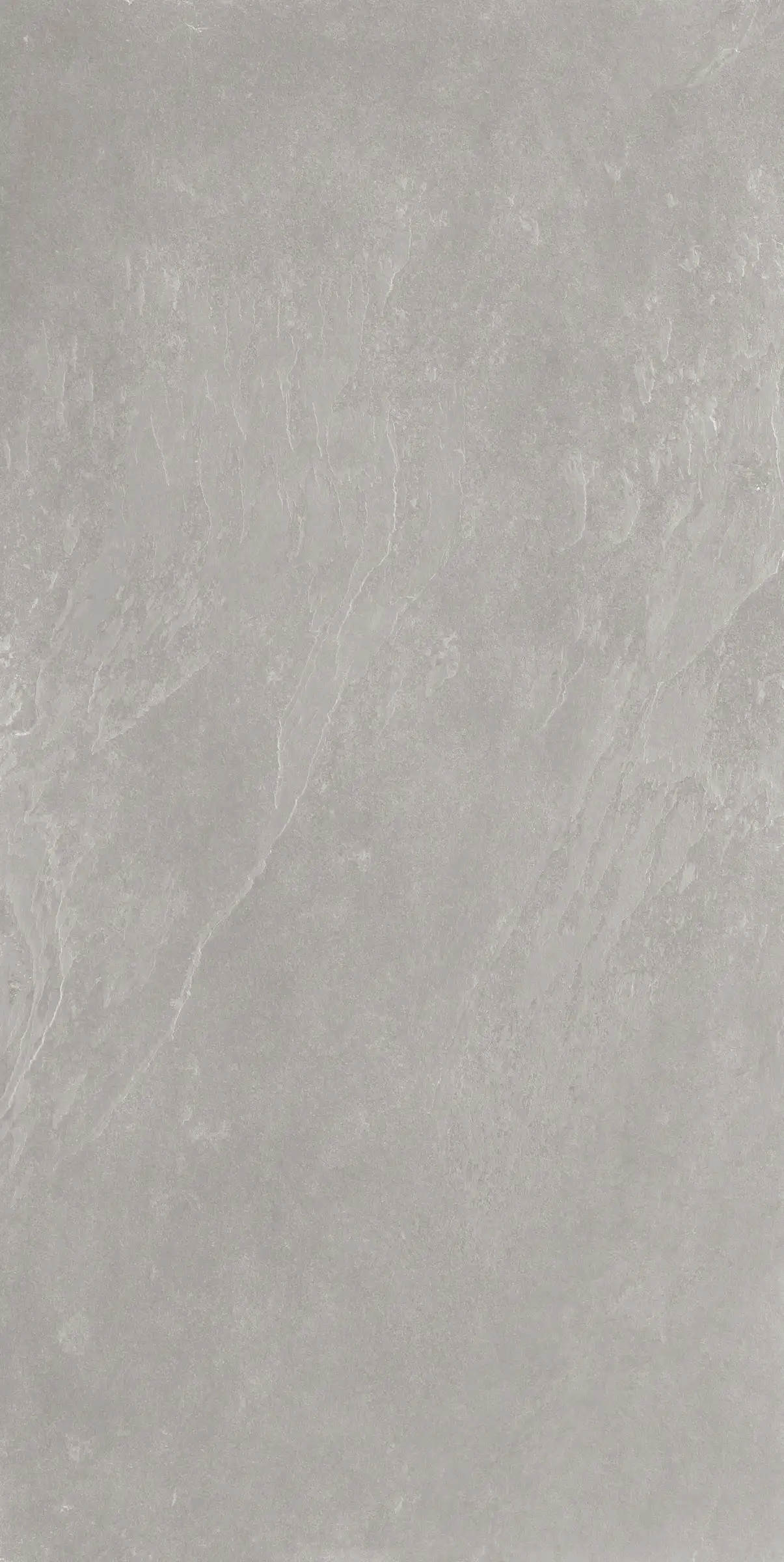 Ardesia Cenere 60x120 cm