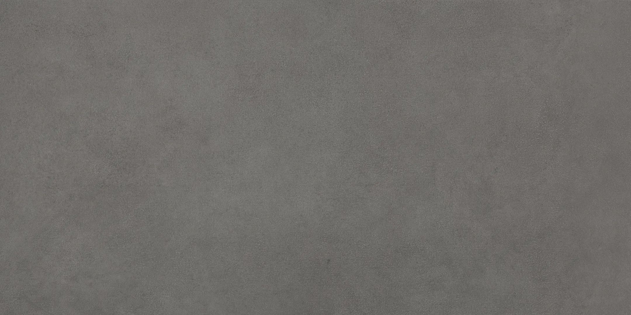 Lea Pigmenti Basalt Naturale 50x100