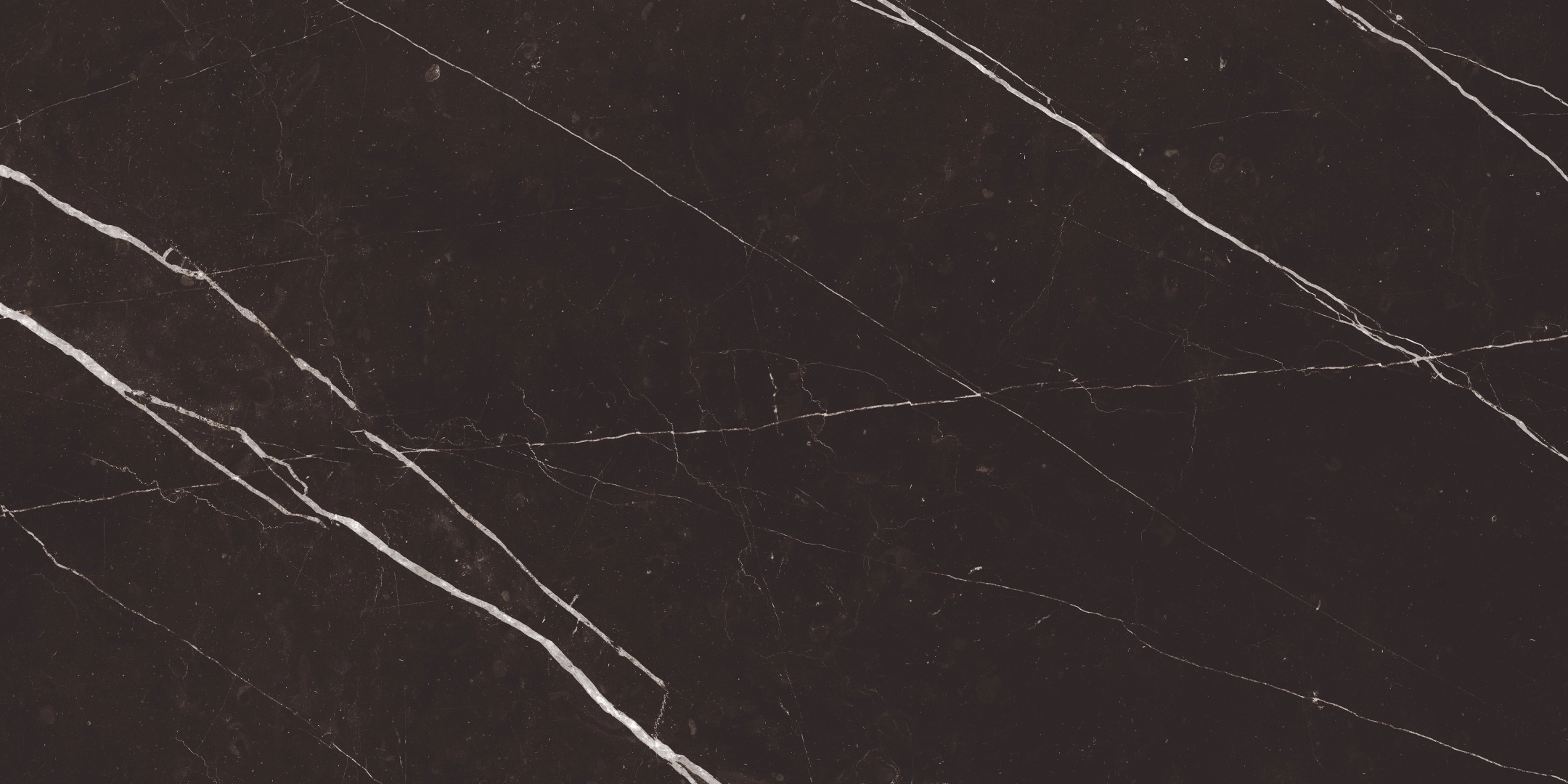 Lea Delight Marquinanero Levigato 60x120