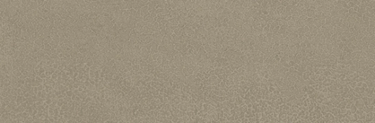 Lea Pigmenti Lichen Naturale 8.2x24.9 