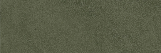 Lea Pigmenti Moss Naturale 8.2x24.9 