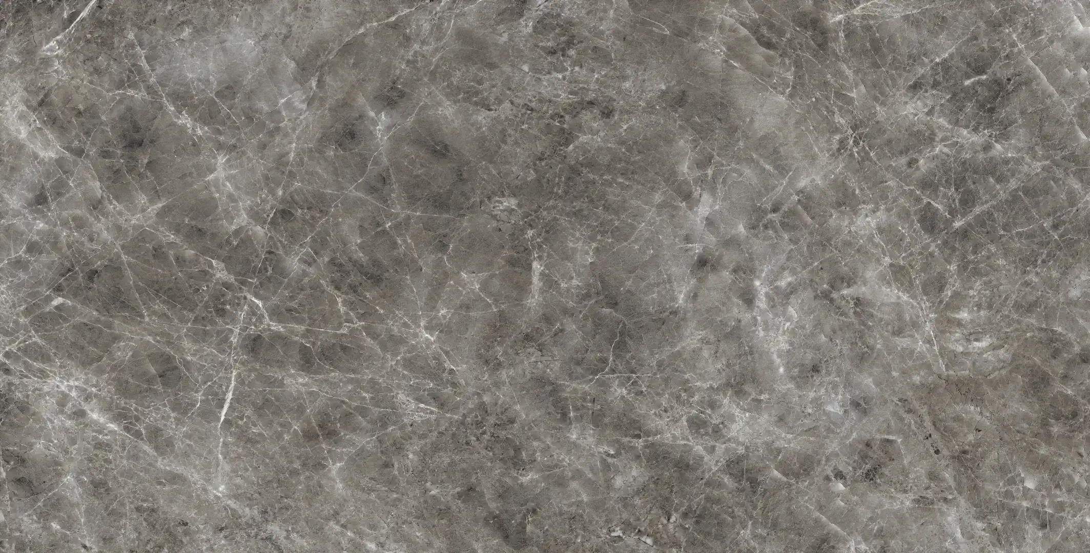 Novabell Imperial Michelangelo Grigio Visone Levigato 60x120  Rekt.