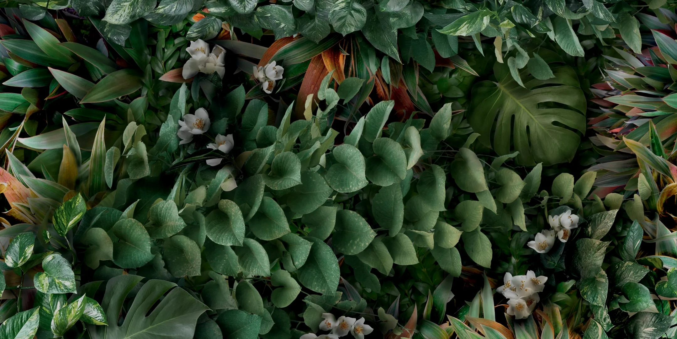 Panaria Glam Greenwall C Naturale 50x100  Rekt.