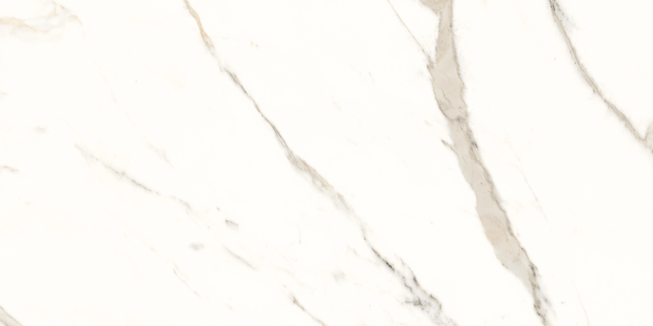 Panaria Trilogy Calacatta White Lux 60x120 Rekt.