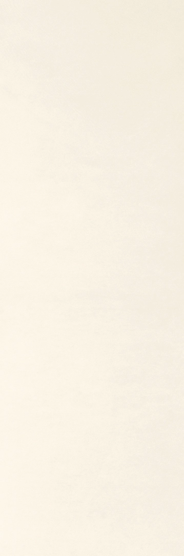 Panaria Experience Bianco Denso Naturale 100x300  Rekt.