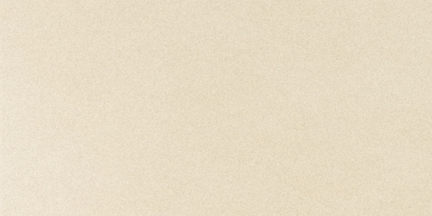 Panaria Experience Beige Tenue Naturale 50x100  Rekt.