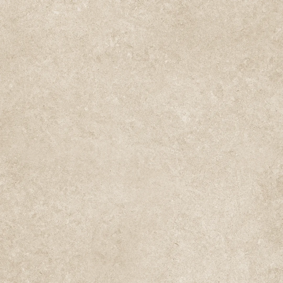 Panaria Iqoniqa Skin Naturale 60x60  Rekt.