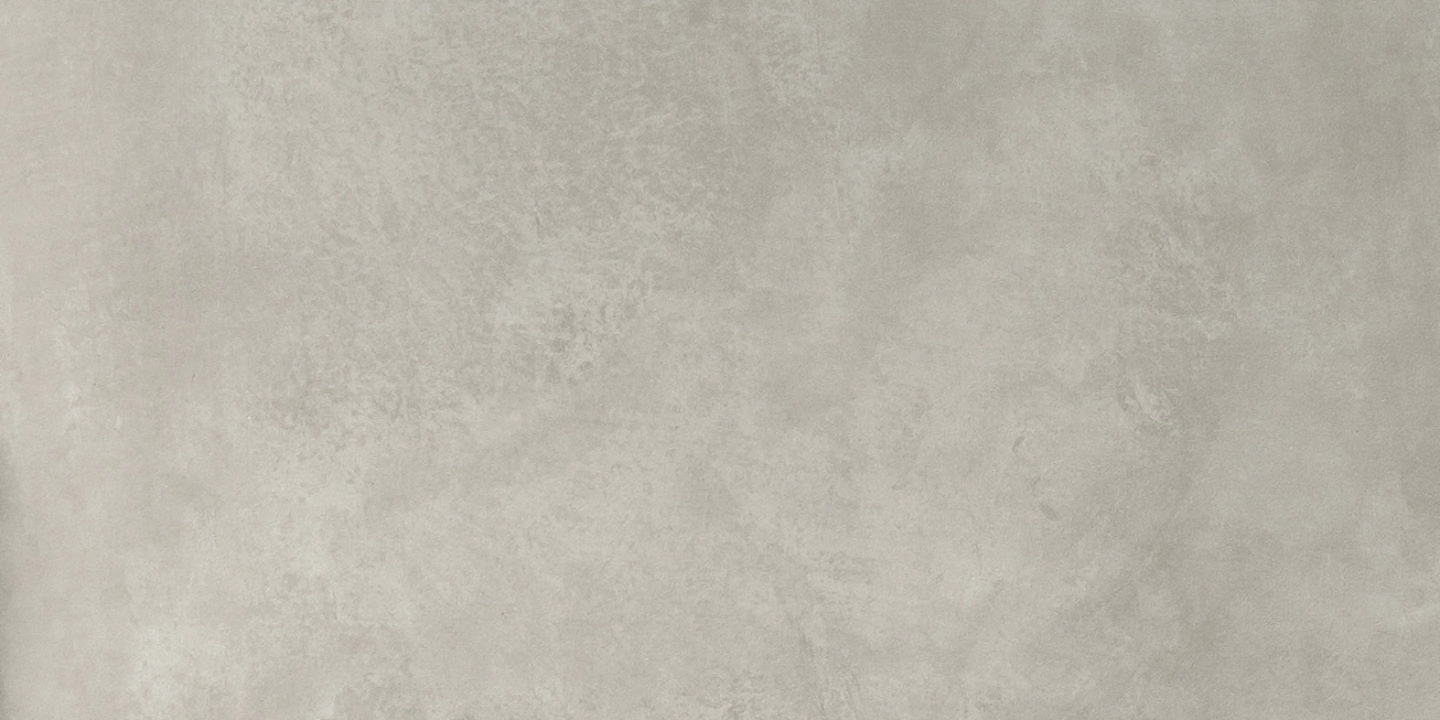 Panaria Experience Grigio Vivo Naturale 50x100  Rekt.