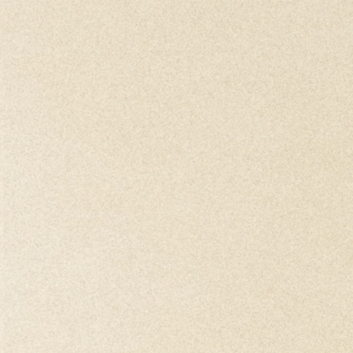 Panaria Experience Beige Tenue Naturale 50x50  Rekt.