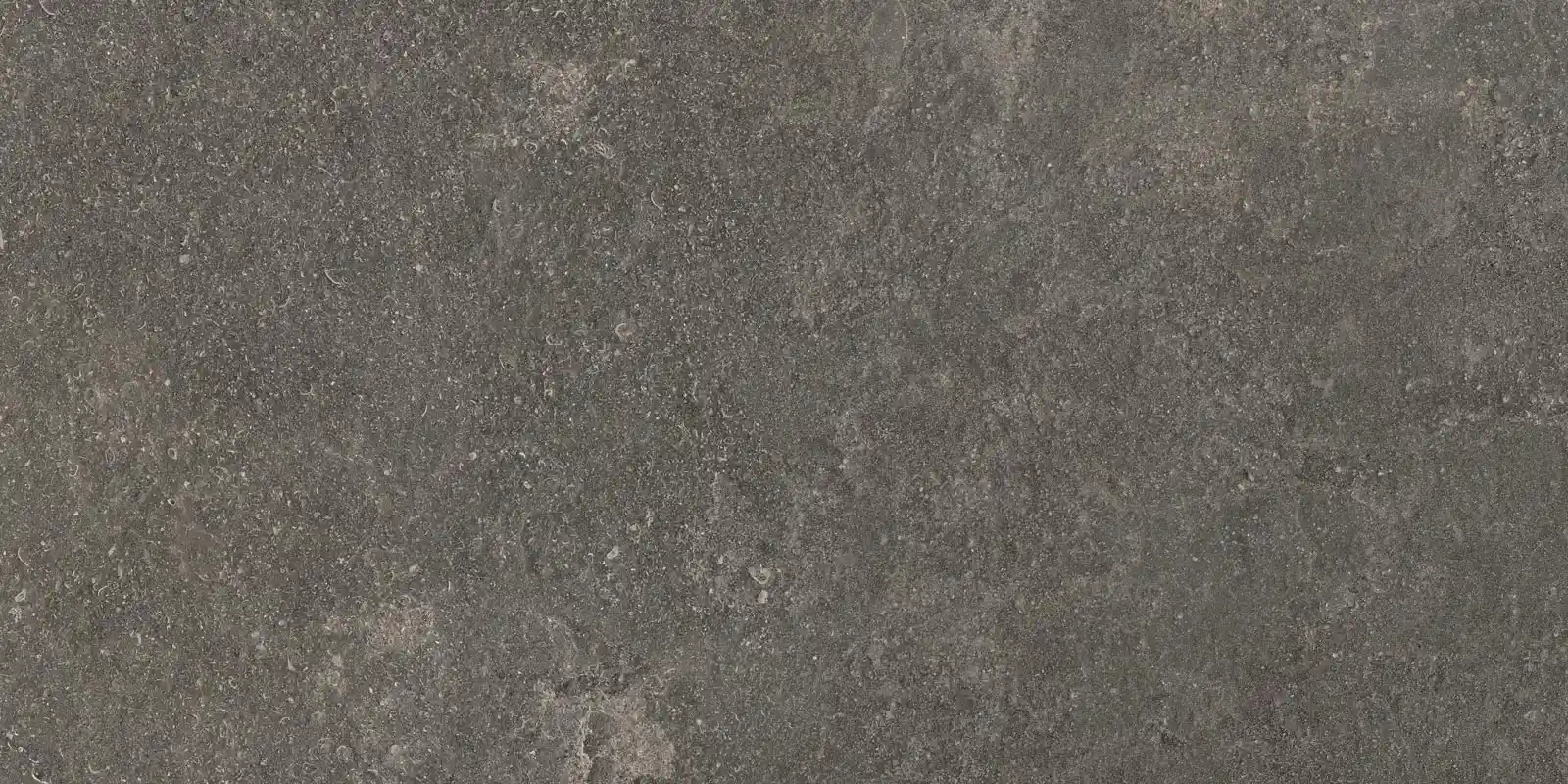 Lunar Deep Grey 60X120 rekt.