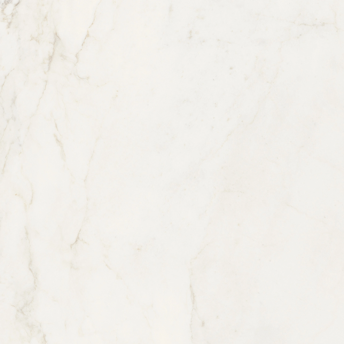 Imperiale Calcatta Glossy 58X58 rekt.